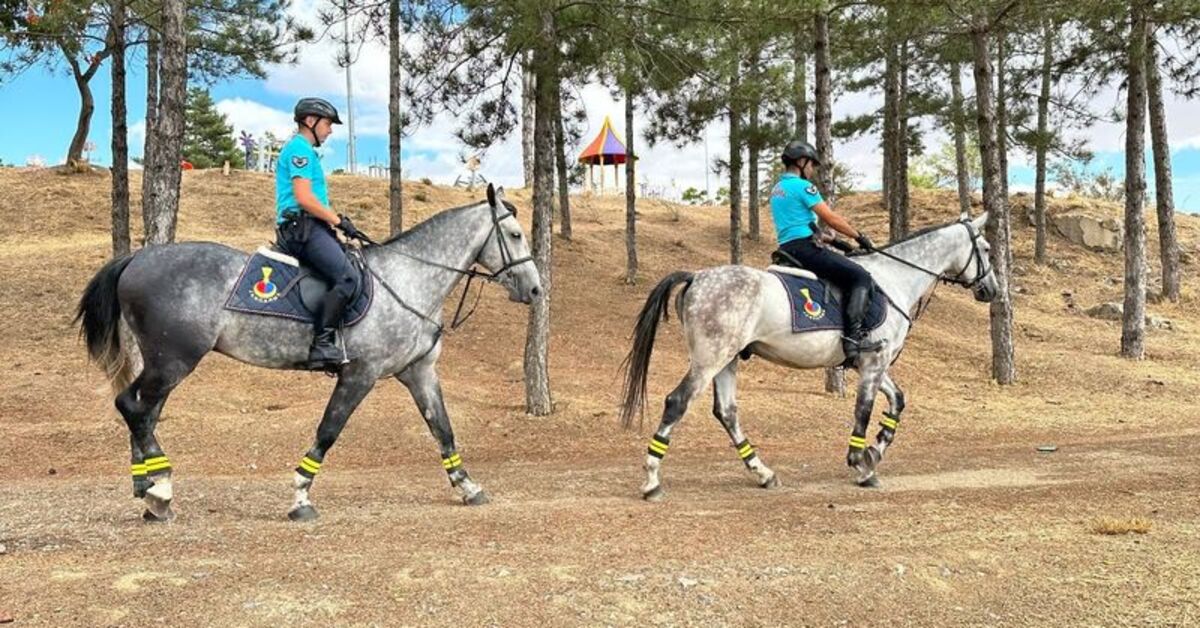 Elazığ’da mesire alanında atlı jandarma denetimi