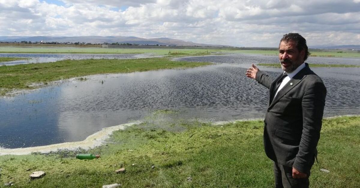 Erzurum Ovası’nda yağmur sularıyla oluştu: 30 “kuş cenneti”