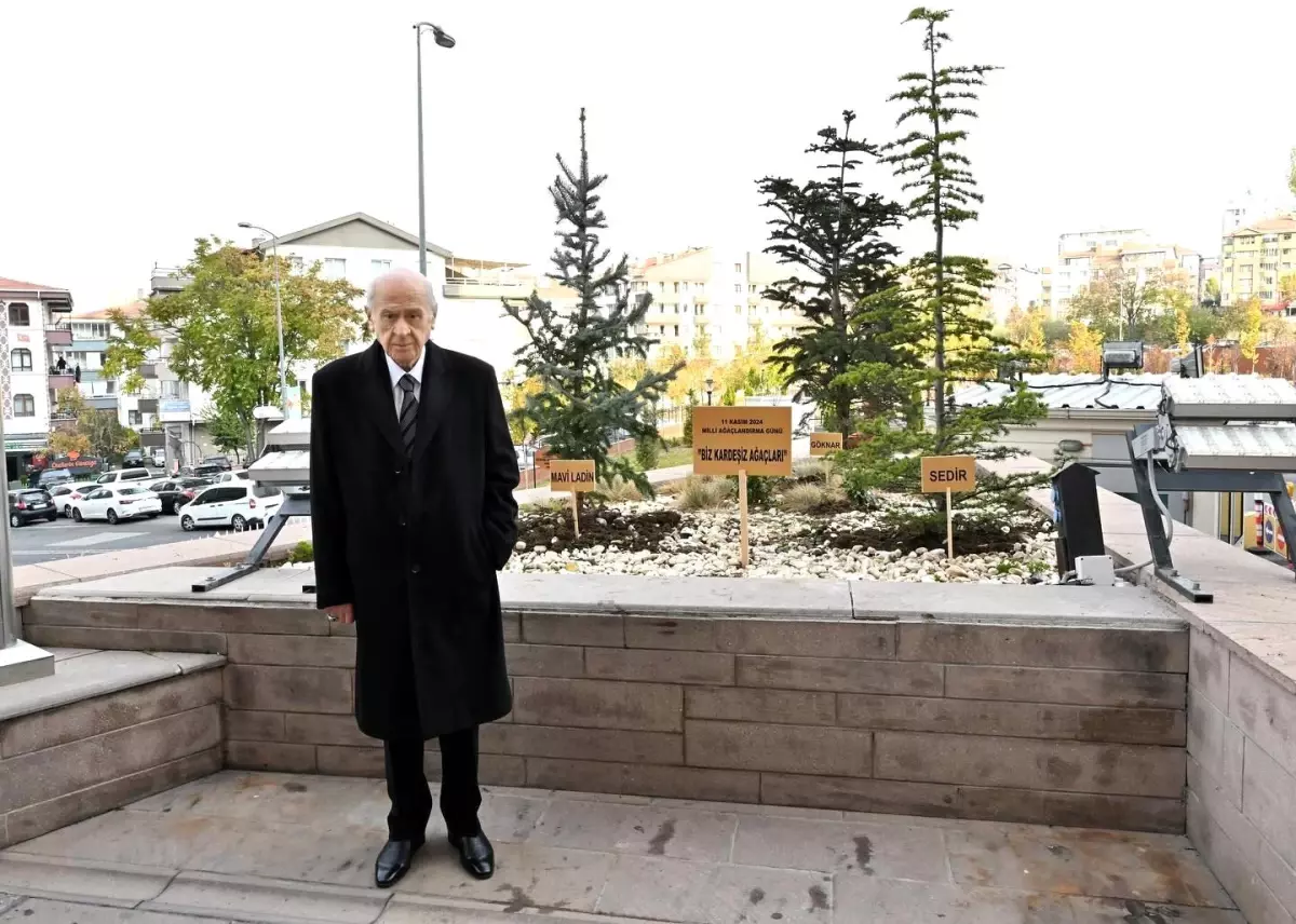 Bahçeli’den Ağaçlandırma Projesi